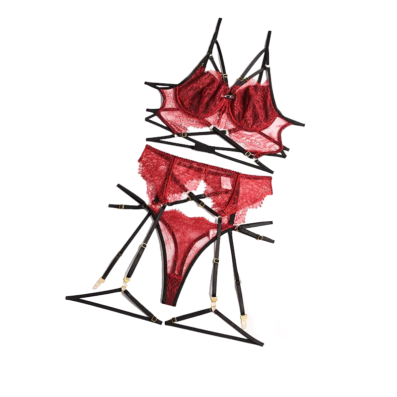 New Lace Sexy Lingerie Transpa - Sheer Bra Lace recension och pris